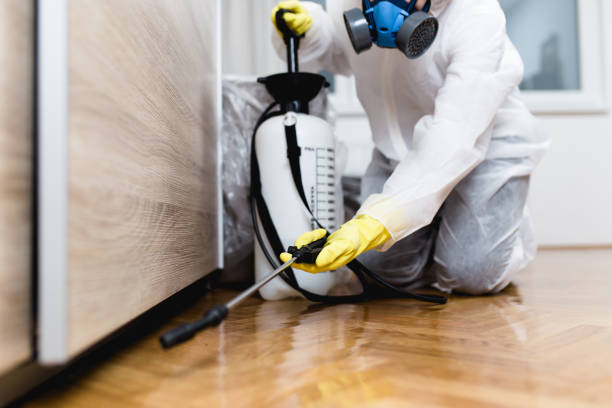 Best Bed Bug Extermination  in Pond Creek, OK