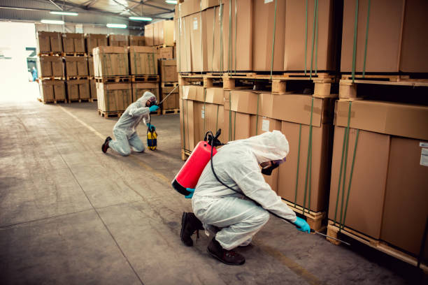 Trusted Pond Creek, OK Pest Control Experts