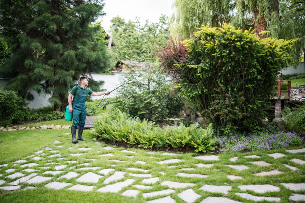 Best Wasp Removal Services  in Pond Creek, OK