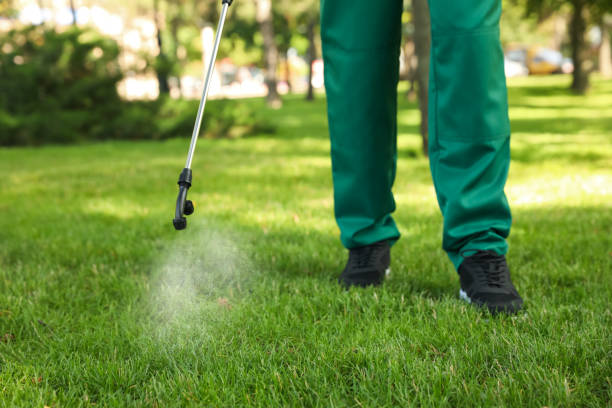 Best Flea Control Services  in Pond Creek, OK