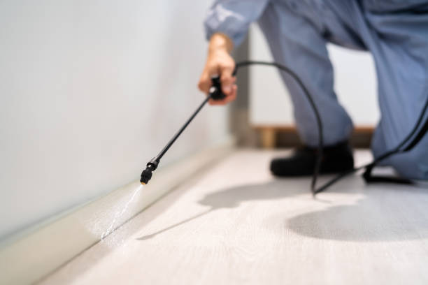 Best Best Pest Control Companies  in Pond Creek, OK