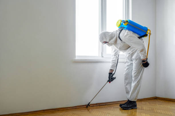 Best Wildlife Control Services  in Pond Creek, OK
