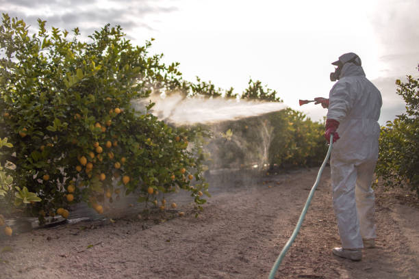Best Affordable Pest Control Services  in Pond Creek, OK