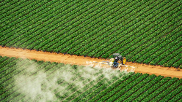 Best Commercial Pest Control Services  in Pond Creek, OK