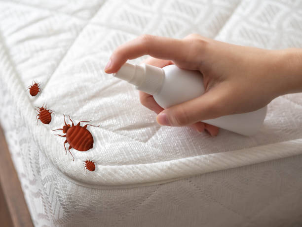 Best Mosquito Control Services  in Pond Creek, OK