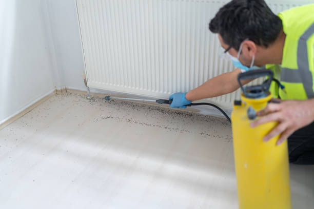 Best Affordable Pest Control Services  in Pond Creek, OK